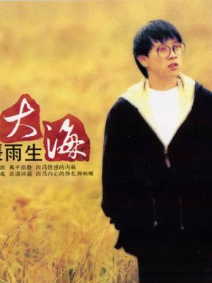 大海 张雨生 - 大海 1992